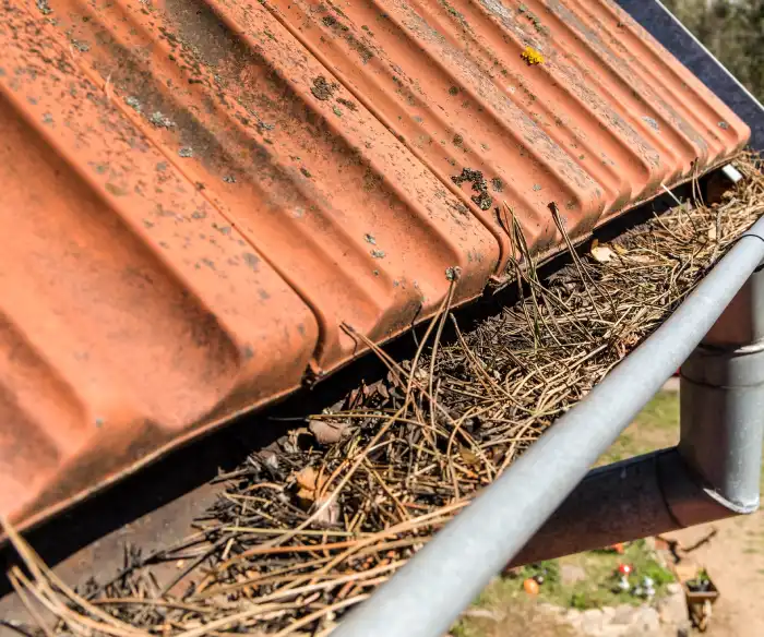 Démoussage de toiture Grasse